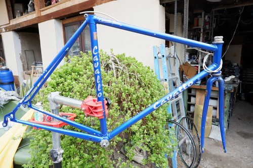Cadre columbus brain cavallo - cadre,