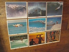 Follow Me - Ride The Wild Surf