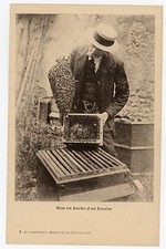 POSTCARD, Beekeeping Beekeeping Hive Swarm ALPHAUDÉRY Montfavet