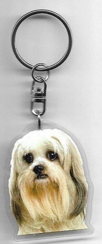 Lhassa apso chien porte - lhassa,