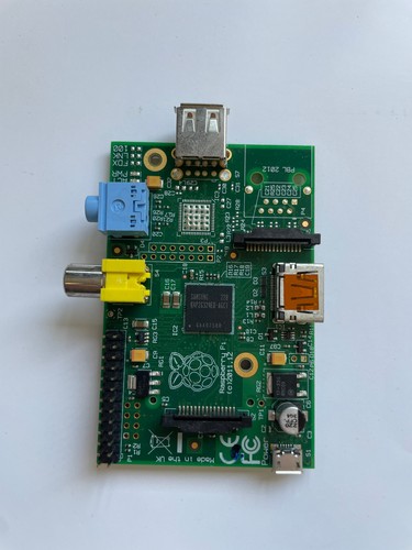 Raspberry 2011 - raspberry, pi
