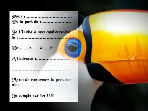 Cartes invitation - 5,