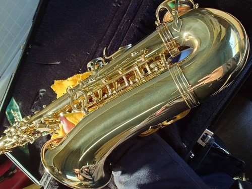 Saxophone alto selmer serie - alto,