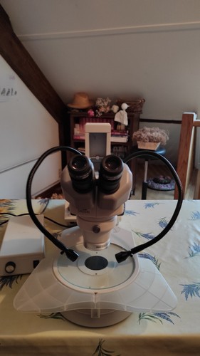 Loupe binoculaire - loupe,