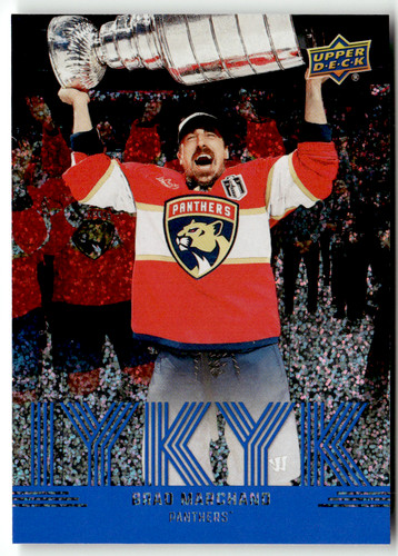 Upper deck series nhl - upper,