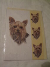CARTE + ENVELOPPE - chien YORKSHIRE