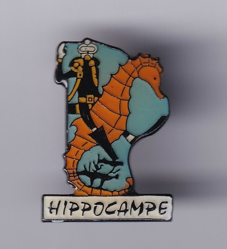 Rare pins pin armee army - rare, pin's