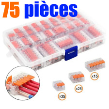 Borne Domino Wago Connecteur