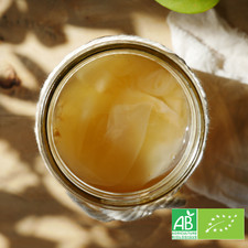 Culture de Kombucha Bio -