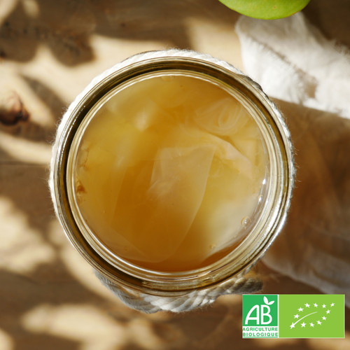 Culture kombucha bio - kombucha,
