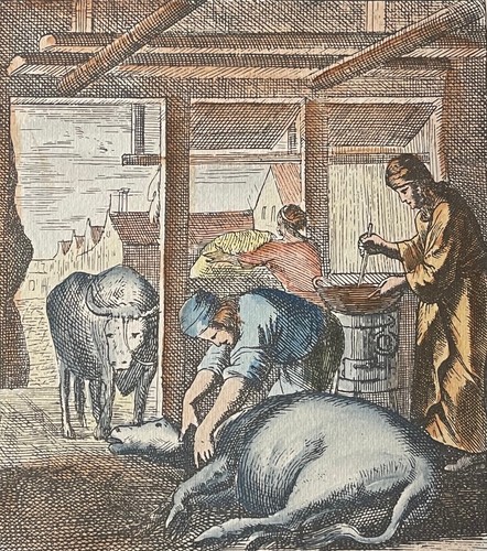 Vétérinaire gravure - le,