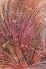 Original work signed Domenech plant composition dreamlike herbarium 30 x 46 cm