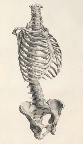 Tronc 1759 après tarsis - d'après,