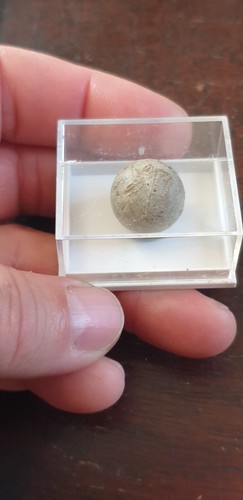Balle mousquet musket ball - balle,