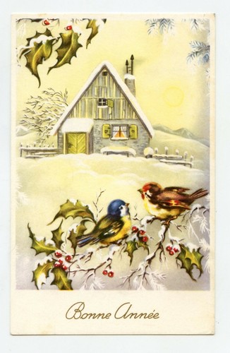 Bonne année oiseaux - année,