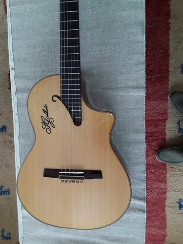 Guitare electro acoustique - guitare,