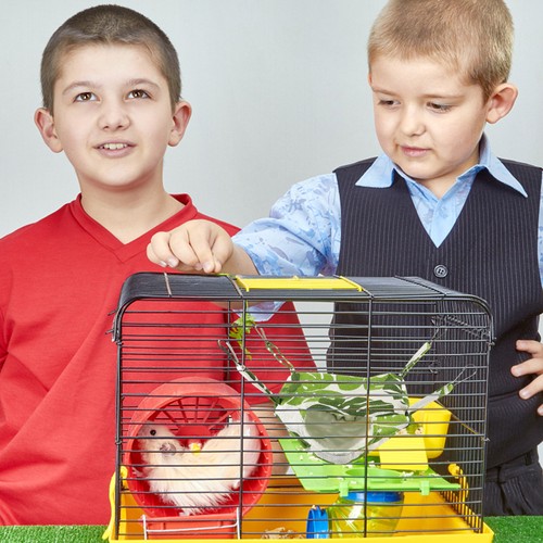Lit pour hamster petit animaux - pour,