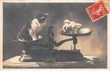 Cats - No. 82098 - A cat and a chick, each on a scale tray