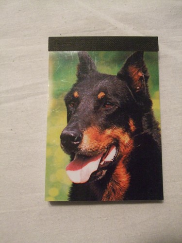Carnet aimanté feuilles - carnet,
