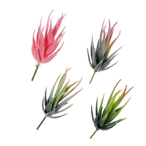 Fausse plante aloès - plante, d'aloès