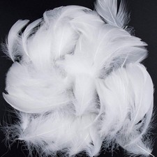 Plumes Blanches300 PCS Plume Loisirs Creatifs Naturelles Décorations Plumes p...