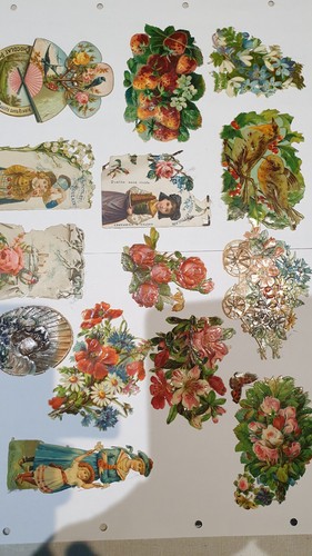 Chromos anciens enfants - anciens, fleurs