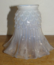 Belle Tulipe en Verre