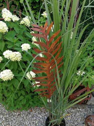 Fiche jardin rouille - en,