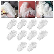 Accessoires photo plumes blanches mariage plumes blanches élégance nappes de m