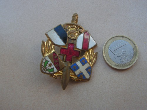 Insigne section - insigne, 6e