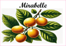 Mirabelle 12 sticker vinyle conserve fruit légume confiture fait maison