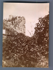 Italy, Cypress d&#039;Arco (Trento) Vintage Citrate Print. Italy.  Citr Print