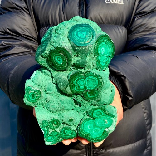 9lb natural tortoise - 4.9lb,
