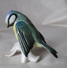 Oiseau Mésange  Bleue