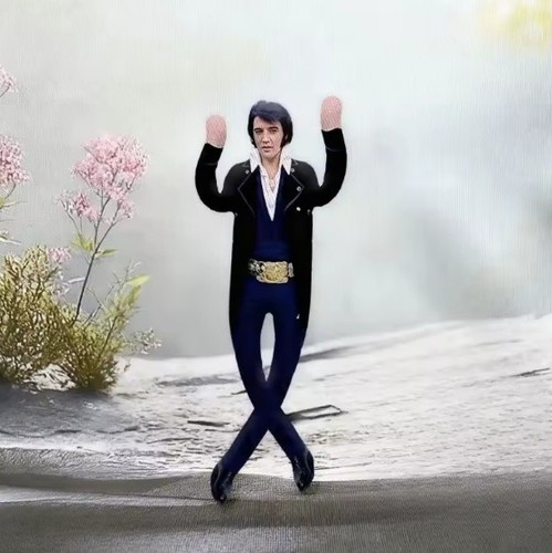 Elvis presley plush - elvis,