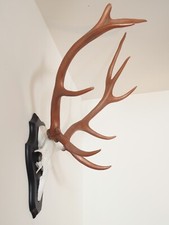 trophée massacre écusson de