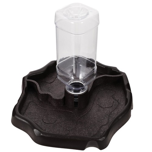 Bols eau pour tortues - pour,