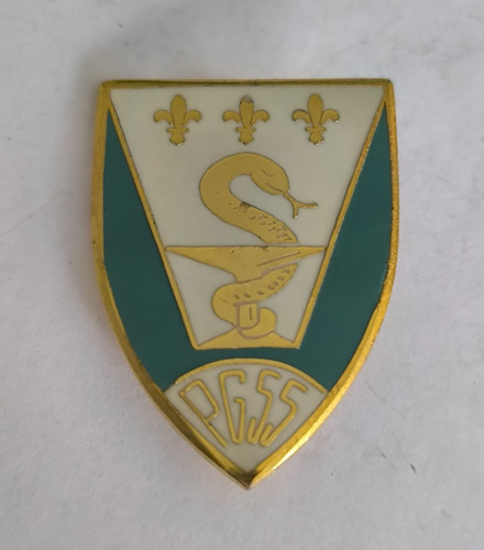 Insigne pgss etablissement - pgss,
