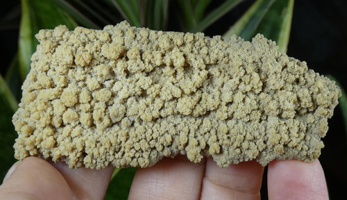 Flottant aragonite occitanie - flottant,