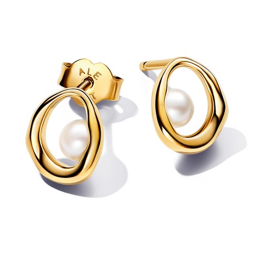 Pandora boucles oreilles - boucles, d'