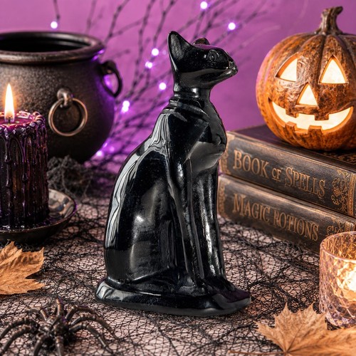 Black obsidian sphynx cat - sphynx,