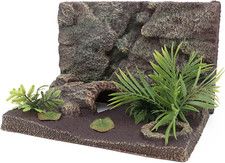 Reptile Terrarium Habitat
