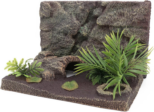 Reptile terrarium habitat - reptile,