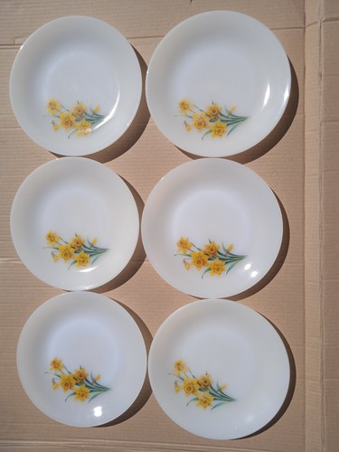 Assiettes plates arcopal - assiettes,