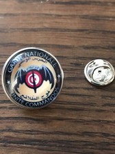 GROS PIN'S 2cm Métal Argenté