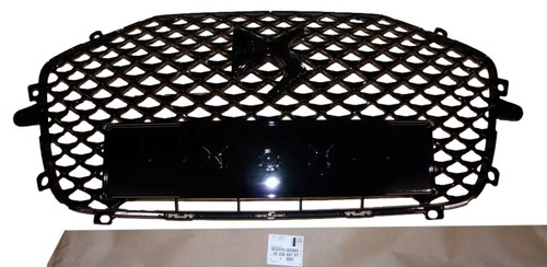 Grille par chocs calandre - grille, chocs,calandre
