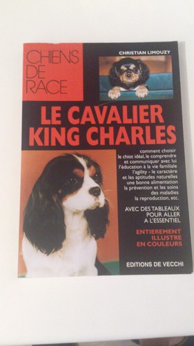 Cavalier king charles - cavalier,