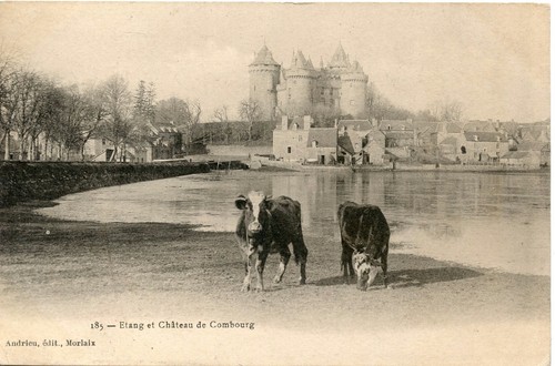 Carte postale etang et - carte,