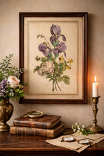 Gravure botanique ancienne