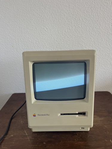Vintage apple mcintosh - apple, plus